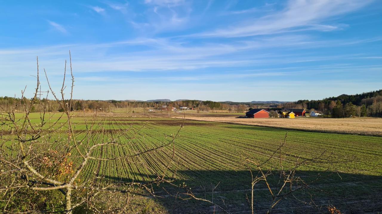 Verningen Apartment Larvik Bagian luar foto